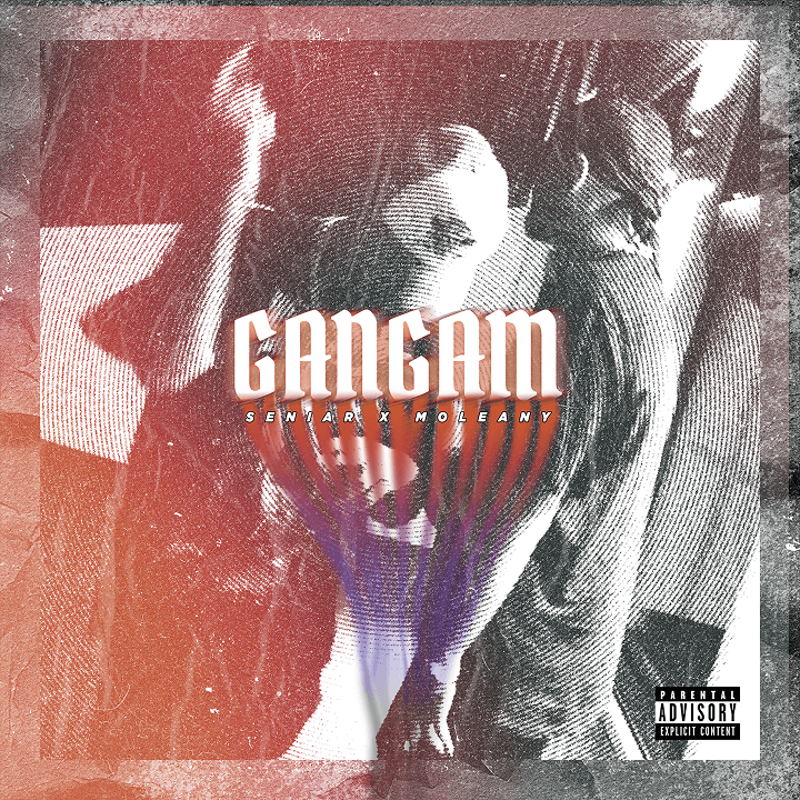 Gangam Cover Art, image 2