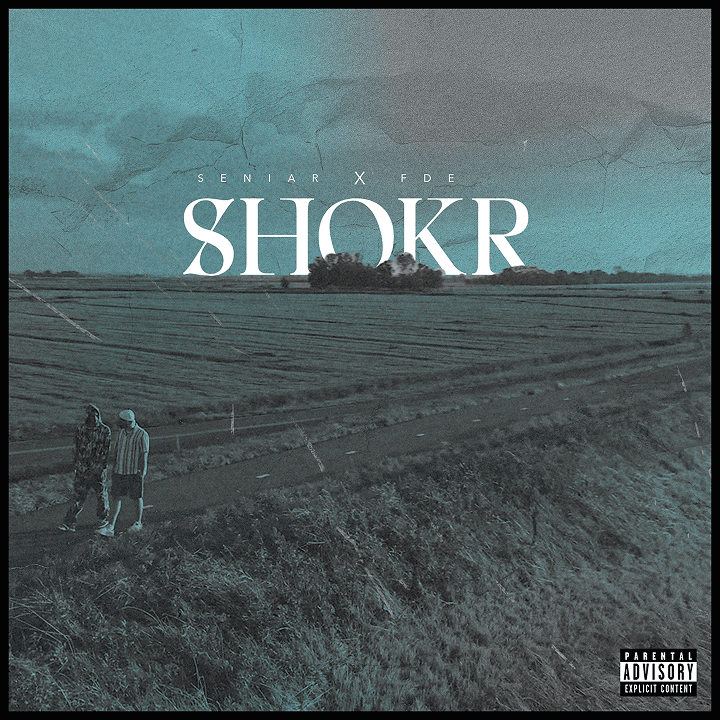 Shokr Cover Art, image 2